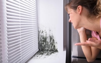 4 Mistakes That Cause Mold in the Home