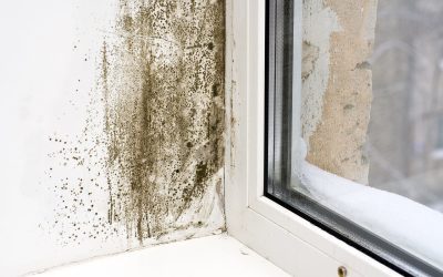 4 Signs of Mold in the Home