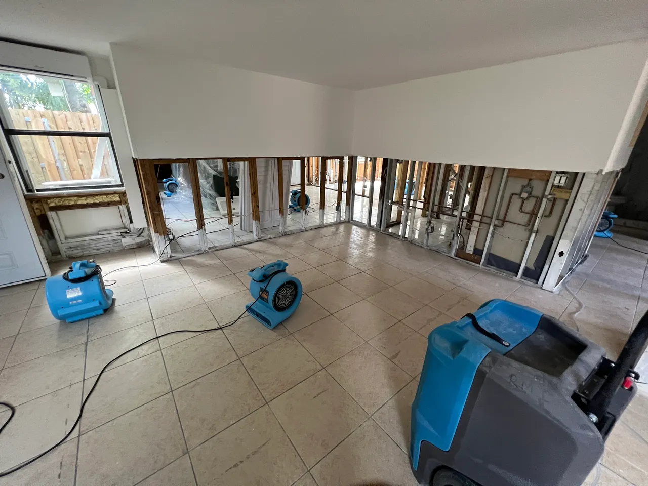 Affordable Mold Removal Fairfield County