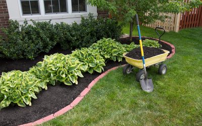 3 Seasonal Landscaping Tips for Your Home