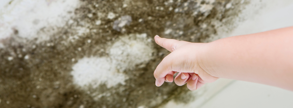 Finger Pointing at Water Damage in a Coral Springs, FL Home