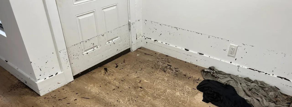 A Home in Hollywood, FL in Need of Water Damage Repair