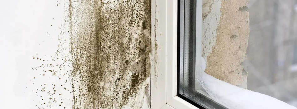 A Home in Boca Raton, FL in need of Mold Removal Services