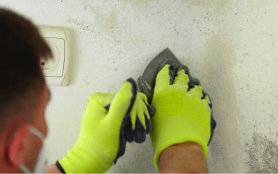 Mold Remediation in Coral Springs, Hollywood, FL, Boca Raton & Nearby Cities