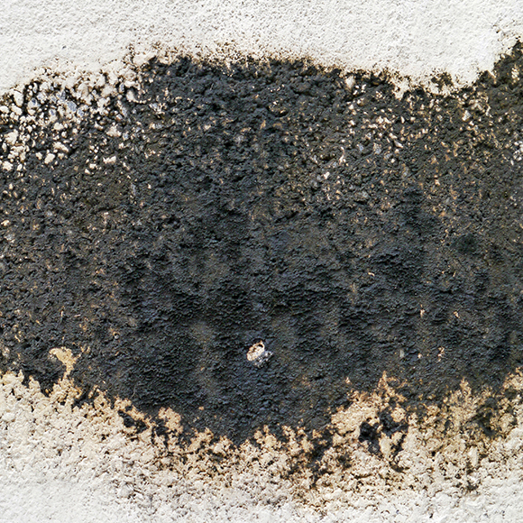 Mold Spores Before Mold Remediation and Mold Removal Services in Boca Raton, Coral Springs, Pompano Beach, FL