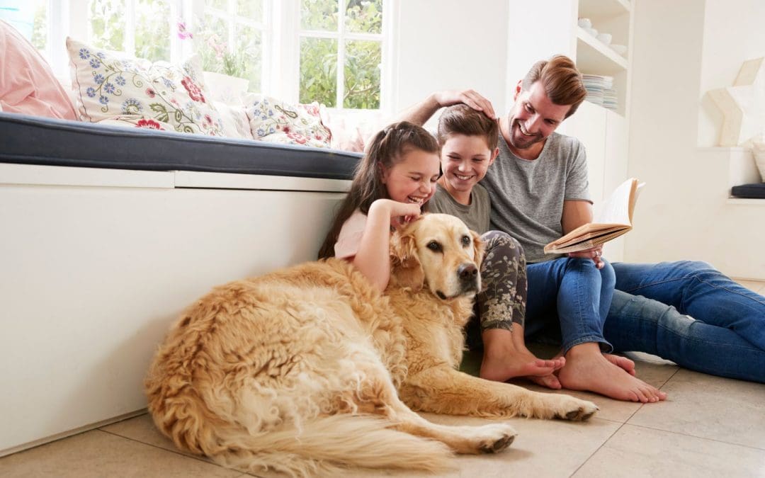 Pet-Proofing Your Home